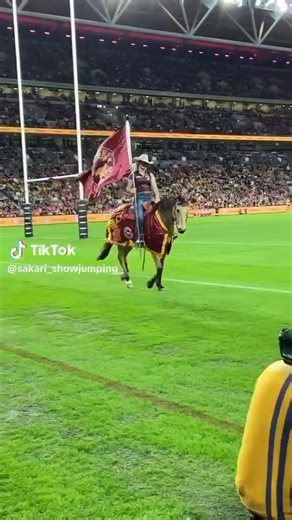 🎉🐴 Happy Birthday horses! 🐴🎉 August 1st marks the official birthday of every horse in the Southern Hemisphere and that means it's Queensland’s favourite horse’s birthday! 🔥🎂 Happy Birthday, Buck! 🎂🔥 Wishing you extra carrots, cuddles, and gallops today! 🥕 | Glenn Butcher MP