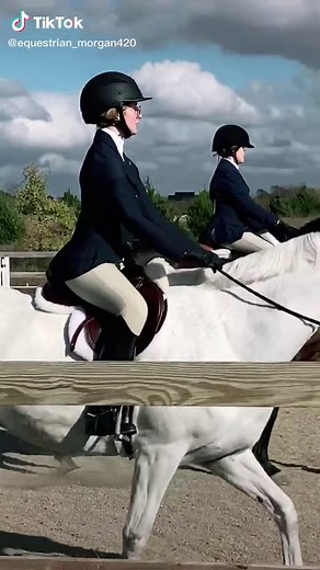 Another horse girl on TikTok