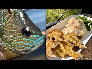 BLUEGILL FISHING on The Creek (CATCH CLEAN COOK)