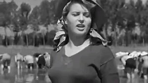 21 aprile 1930 - nasce l'attrice Silvana Mangano. La ricordiamo con una scena di "Riso amaro" #AccaddeOggi | D - la Repubblica