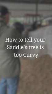 How can you tell your Saddles tree is too Curvy? 🧐 Your saddles tree is the framework for your saddle and it's fit on your horse. It's important the saddles tree matches your horses back as a saddle tree shape and back shape that don't match can create some serious discomfort for your horse 🐴🤕 🏡So to check this at home, place a hand on the pommel and cantle of the saddle and press down in a "see-saw" motion, if your saddle rocks it may be too curvy! However, if it remains still you're in the