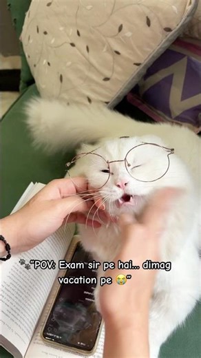 EXAM SIR PE 😭 #funny #memes #cat #avintha #catvideos #petsrule #shorts #funnymemes #rio #viral #rio