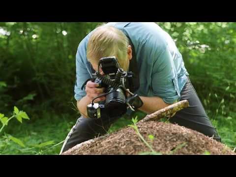 Canon EOS 5DS and EOS 5DS R - Shooting macro