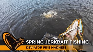 💥 SPRING JERKBAIT FISHING 💥 Join Sean Wit in this awesome Shallow water Deviator SWIM session 💪 WATCH NOW on YouTube🎬 👉️ https://youtu.be/2LzJ95EuSoo 👀 #savagegear #savageworld #LuresWithAttitude #SavageAdventures | Savage Gear