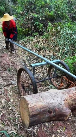 Tree cutting moving wheel tool #shorts