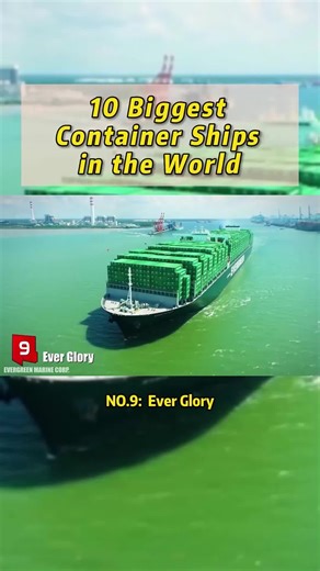Top 10 Biggest Container Shipping Companies Worldwide