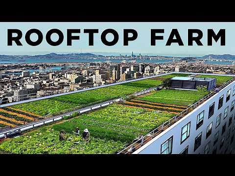 How this Rooftop Grew 20,000 lbs of Food