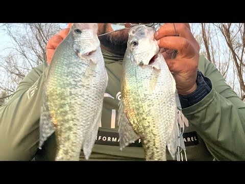 Crappie Fishing Lake Granger 2025: Crappie Spawn in Willis Creek - Taylor, Texas - StrayCaster