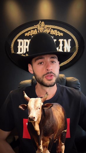 14K views · 334 reactions | O touro mais temido da história do rodeio brasileiro! Touro Bandido #pbr #rodeio #barretos #tourobandido | Juninho Brustolin - Desenhos | Facebook