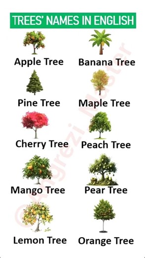 Tree Names in English 🌲 | Expand Your Nature Vocabulary #englishvocabulary#englishlanguage #shorts