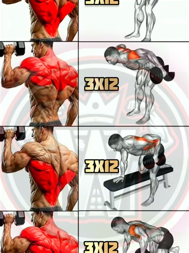 STOP SKIPPING BACK DAY ❌ | Dumbbell Back Workout Your back won’t grow if you skip this 💀 All you need is dumbbells discipline. Do this workout and comment “BACK DAY” if you’re serious 🔥💪 #BackDay #DumbbellWorkout #BackWorkout #backtraining #fitness