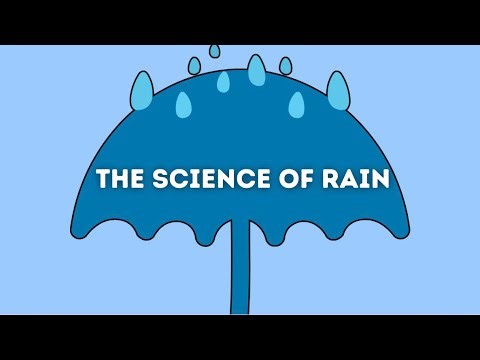 What Really Makes It Rain?☔️