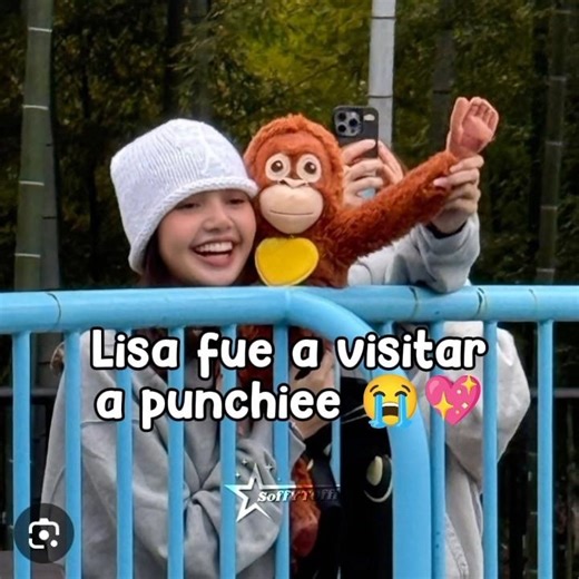 #3k:: LLORO 😭❤️‍🩹||💡: ns || #shorts #viralshort #lisa #punch #cute