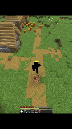 Minecraft Touch Grass 💀