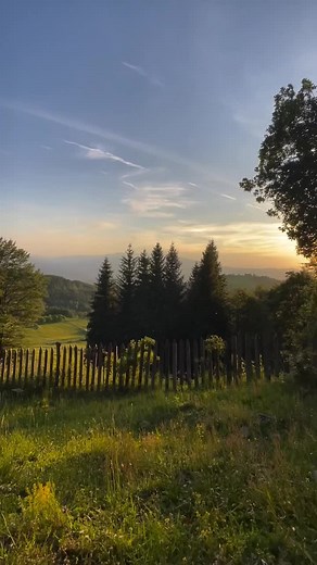 Discovering Romania's Untamed Wilderness