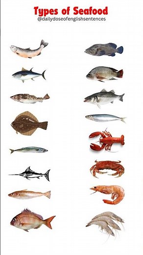 🦞 Types of Seafood in English | Learn Seafood Names & Improve Your Vocabulary! 🦐🐟