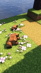 191K views · 4.3K reactions | Mod : Waddles, Promenade #minecraft #minecraftmemes #MAM #mcpe | AddOns Maker | Facebook