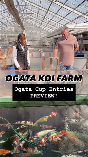 209 reactions | Welcome to Ogata Koi Farm: our first stop on this...