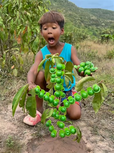 Survival Candy Recipes for Camping Adventures