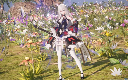 [PSO2NGS] BR/BO ハルフィリア湖の戦い 单人S评价