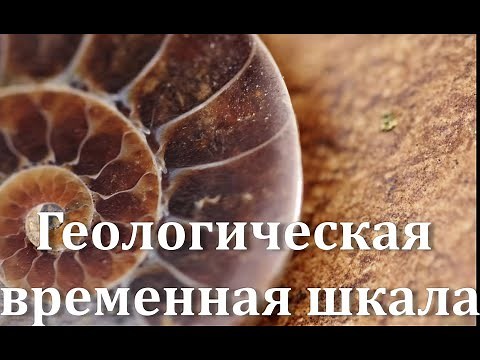 The geological time scale of Earth's history. Geochronology, stratigraphy, and rock dating