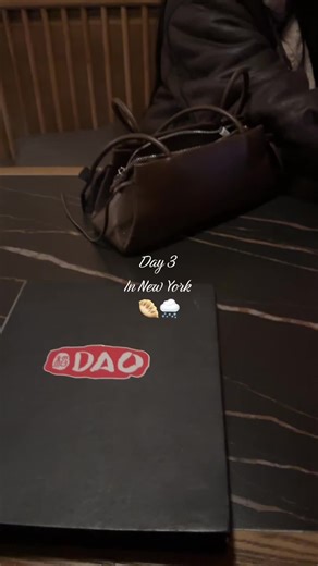 Day 3 in New York: Battling the Blizzard