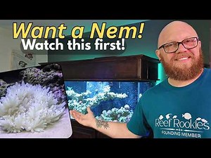 If you want an Anemone this is the video for you!