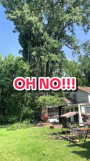 Neighbor's House Destroyed by Fallen Tree: A Shocking Incident