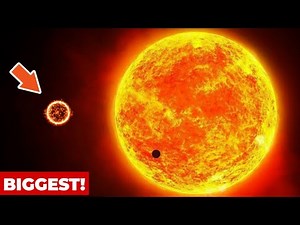 This is the Biggest Star ever Discovered!