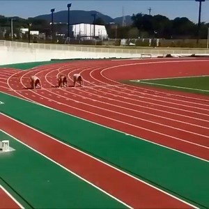 Post quarantine race. YOU’RE in the middle, TAG who’s racing with you! #Sumo2020 at #FitCon2020 | FitCon | Facebook