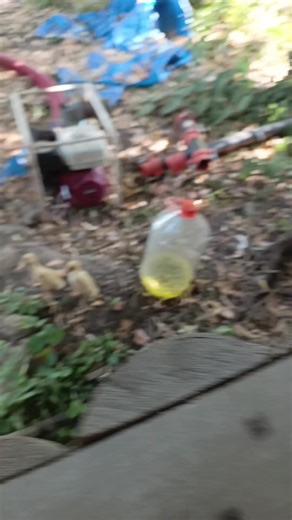 umudum yok TikTok'ta