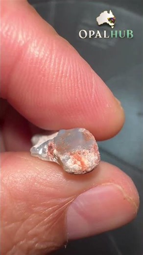 Lightning Ridge Opal Fossils From the Age of Dinosaurs | Opalised Vertebra & Fossil Bone