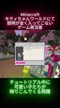映りこみでマイクラのキティちゃんに集中できない【Minecraft】#ゲーム実況 #マインクラフト