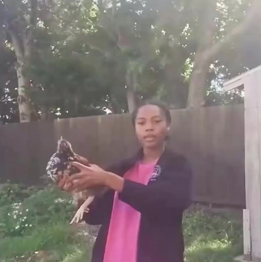 QUENSADILLA on TikTok