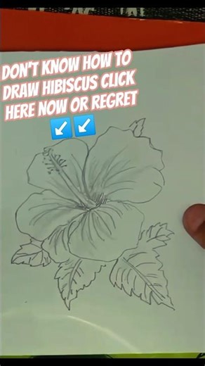 how to draw hibiscus easily step by step 🌺🌺 #shorts #viral # hibiscus #drawing