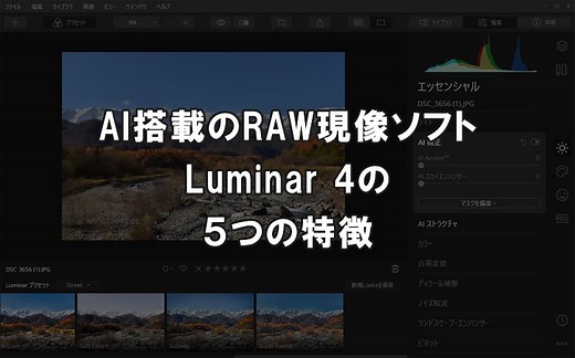 Luminar 4の５つの特徴と使い方を徹底解説【2,084円割引コード】基本的な使い方、レタッチ例、Looks（プリセット）の使い方など