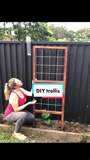DIY Trellis Ideas for Your Garden Project