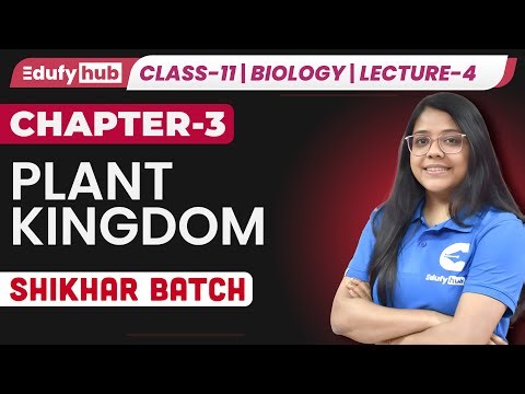 🌱 Class 11 | Plant Kingdom – L-4 | Gymnosperms & Angiosperms | ISC | Shikhar Batch | ‪@Edufy_Hub‬​