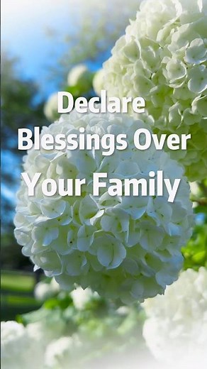Declare Blessings over your family. Inspired by Amos 9:13–15
