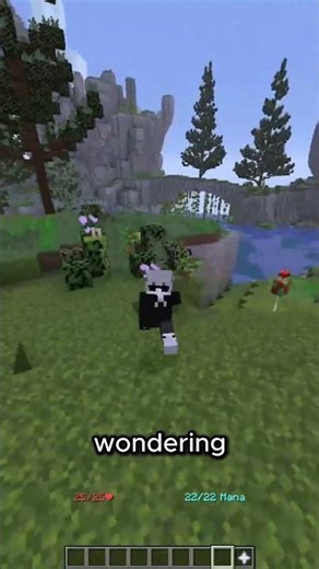 BEDROCK + JAVA SERVER?! #bedrock #java #eterunetwork