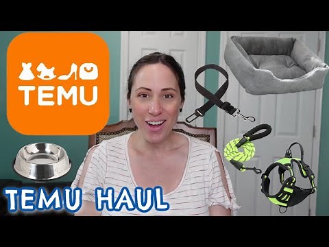TOP 10 MUST HAVE DOG SUPPLIES: TEMU HAUL EDITION | Must Have Items When Getting a Dog