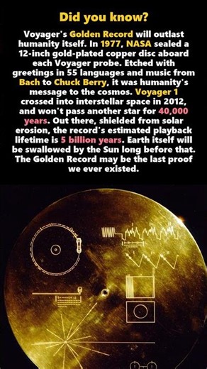 Voyager's Golden Record Will Outlast All Of Us 🌌 #Shorts