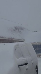 103K views · 1.8K reactions | This was the scene today for our...