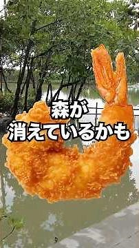 エビの育つ森を守れ！食卓から未来を変える