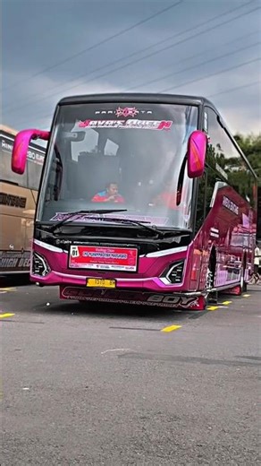 Story'WA bus ANEKA BINTANG JAVA'S QUEEN mboiss 30 detik