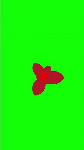 Free Elegant Flower Blooming Animation Green Screen #shorts #aftereffects #animation