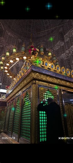 Ali Mola Ali Mola Ali dam dam #short