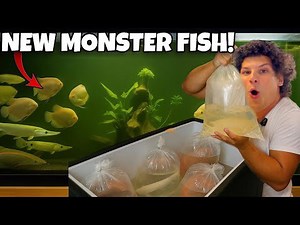 Unboxing fish from a $50,000 shipment