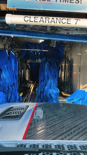 Hakuna matata❤️ | hakuna matata