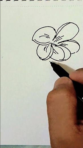 Asy Plumeria Flower Drawing | Tropical Art for Beginners #drawing #art #sketch #short